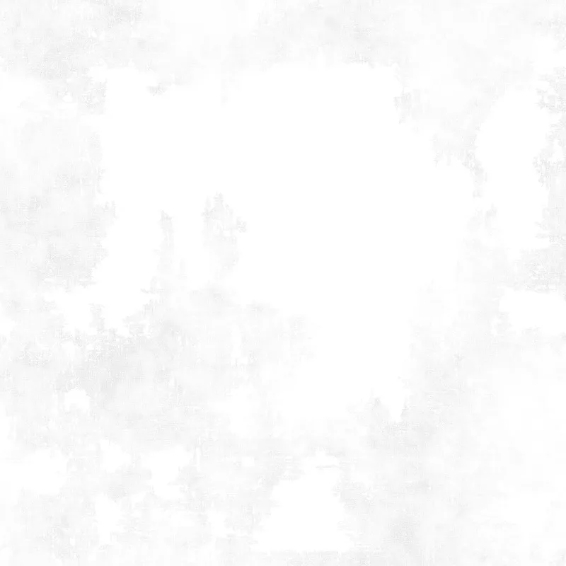 (SOLD PER BOLT) Dry Brush Essentials Basics White on White Danhui Nail Wilmington Prints Cotton Fabric WP-89205-100-FB 15 Yards