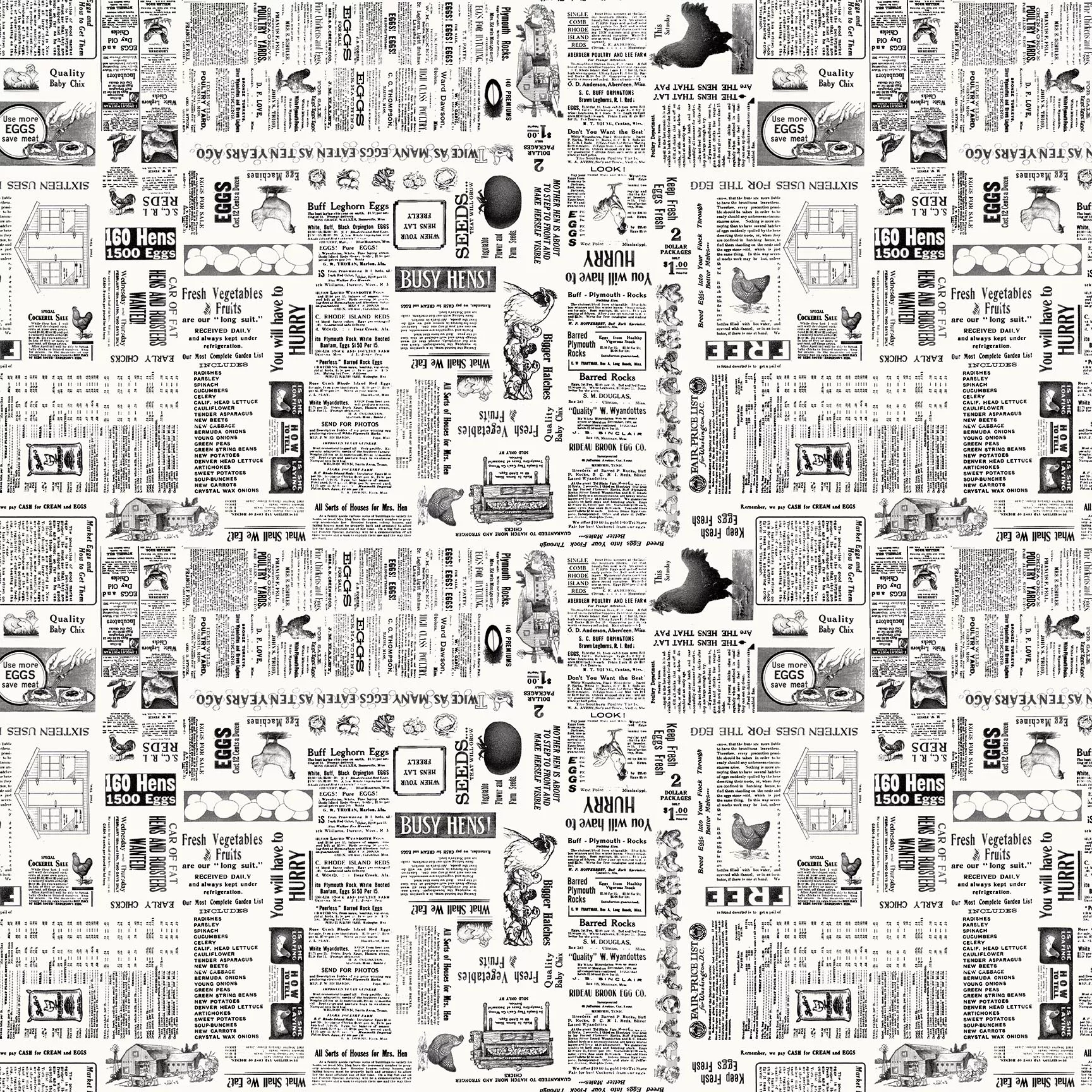 Zooming Chickens - Newsprint - Off White